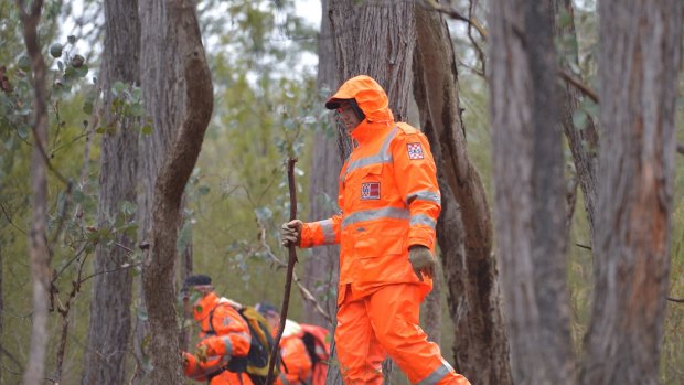 SES volunteers search the dense bushland for Luke.