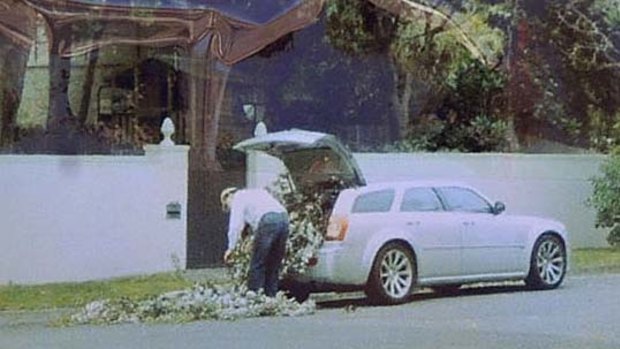 A resident took this photo of the vandal loading branches into a car.