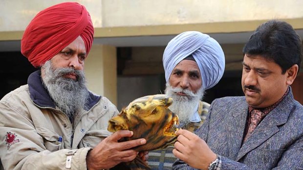 Indian wildlife officials   inspect a confiscated tiger skin in Amritsar last year.