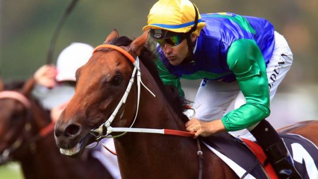 Headliner: All Too Hard is a short-priced favourite to win the Australian Guineas at Flemington on Saturday.