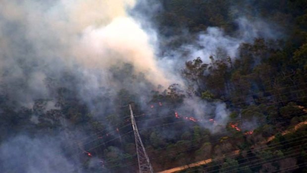 Fire tears through Greenbank bushland.