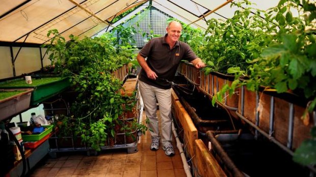 Ricky Somerville of Wanniassa, Canberra with his aquaponics which includes fish and vegetables.