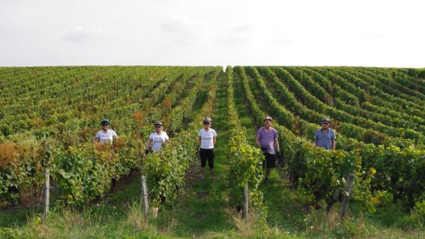Recreation of a scene from <i>The Way</i> in Vouvray vineyards.