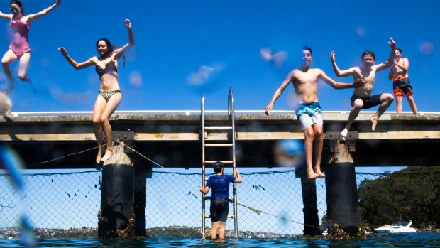 Children jump off the wharf at Chowder Bay on Sunday.