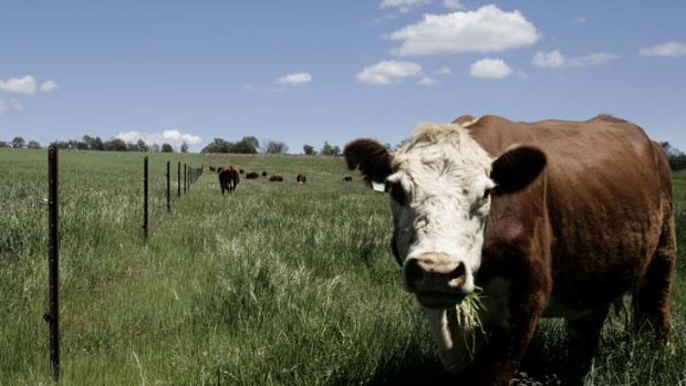 The Coalition is adopting a tough stance on foreign takeovers of Australian farms.
