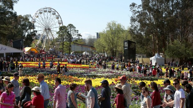 Floriade could relocate from Commonwealth Park to Glebe Park by 2017. 