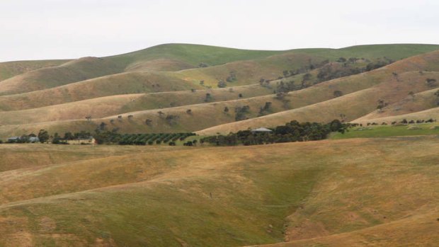 Hills of Fleurieu Peninsula.