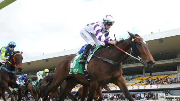 Hit and run: Tommy Berry pilots Interstellar to victory.