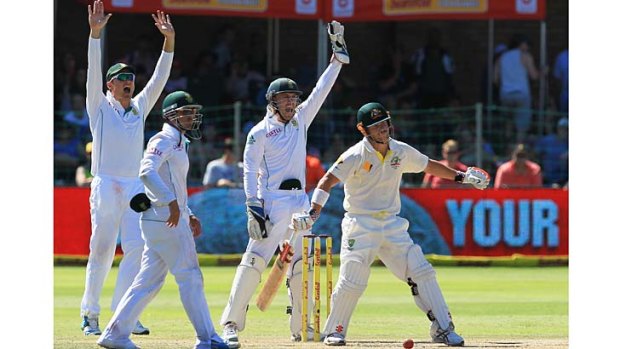 Australian opener David Warner is trapped lbw by J.P. Duminy (not in pic) during the second session of play.