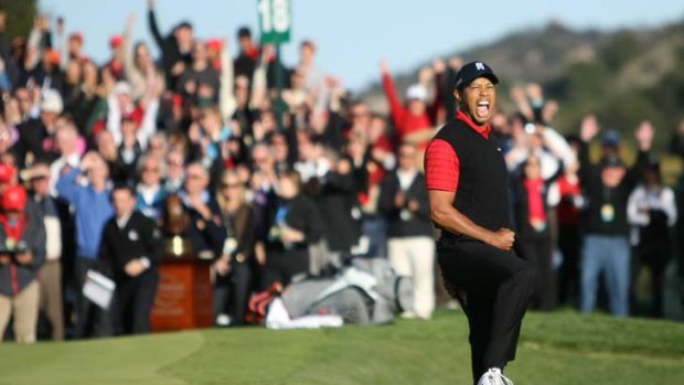 Back where he belongs ... Tiger Woods celebrates after sinking the winning putt.