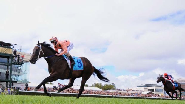 Too good ... Luke Nolen pilots Black Caviar to her 18th consecutive win.  The superstar mare may now contest Saturday's Lightning Stakes at Flemington.