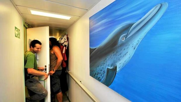 Art and life onboard the visiting Rainbow Warrior.
