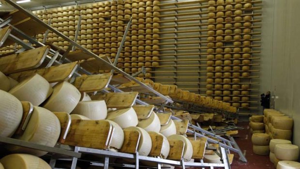 Cheesy ending ... the shelving that held ageing wheels of parmesan fell victim to the earthquake that struck northern Italy over the weekend.