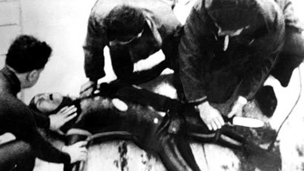 Henri Bource loses a leg to a shark at Lady Julia Percy Island, 1964.