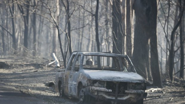 'It would have been dangerous to have Fire NSW in there'