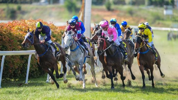 Celtic Soul (far right) will contest the Moruya Cup on Monday.