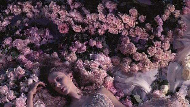 A rosy outlook: Lana Jones as The Sleeping Beauty, the ambitious centrepiece of the Australian Ballet's 2015 season.