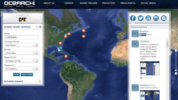The global shark tracker online at the OCEARCH website.