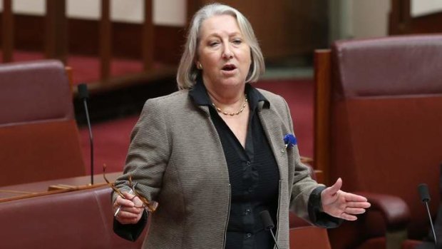 Liberal Senator Sue Boyce addresses the Senate.