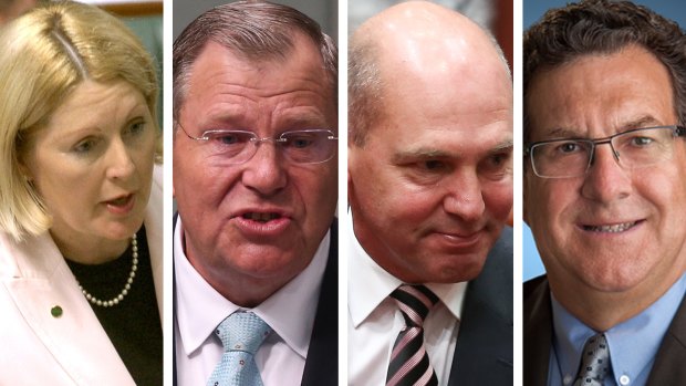 Some of the Coalition’s new AAT appointees, from left to right: Howard-era Veterans' Affairs minister De-Anne Kelly, former federal Liberal MP Bob Baldwin, former Senate president Stephen Parry, and former Liberal speaker of the West Australian Parliament Michael Sutherland.