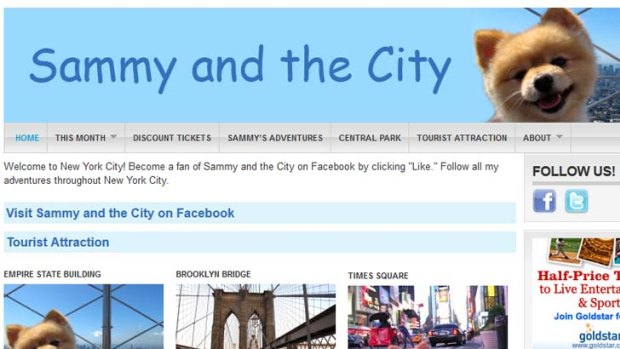 The original Sammy and the City website.