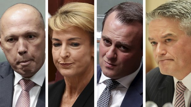 Controversies: Peter Dutton, Michaelia Cash, Tim Wilson and Mathias Cormann.