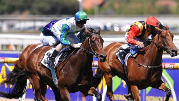 Cashing in: Shopaholic (left) races home to win the Angus Armanasco Stakes at Caulfield yesterday.