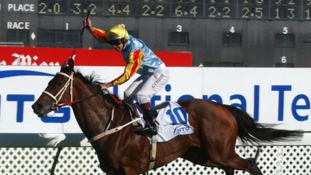 One of the greats: Super mare Sunline enjoyed a glorious career.