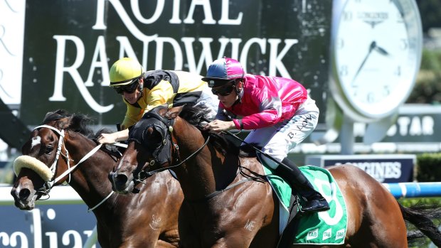 Pretty in pink: Brodie Loy teams up with Burbero to score at Randwick.