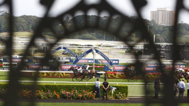 Grandstand view  ... a handful of patrons line the fence in the mounting yard as the Danny Williams-trained Straight Edge races to victory at Randwick yesterday.