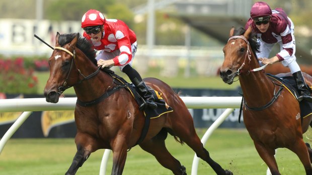Strong finish: Josh Parr pilots Chauffeur to win the opening race at Rosehill.