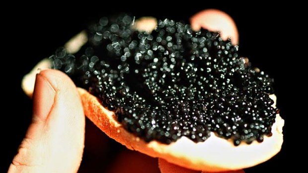 Abu Dhabi aims eventually to produce 35 tonnes of caviar per year.
