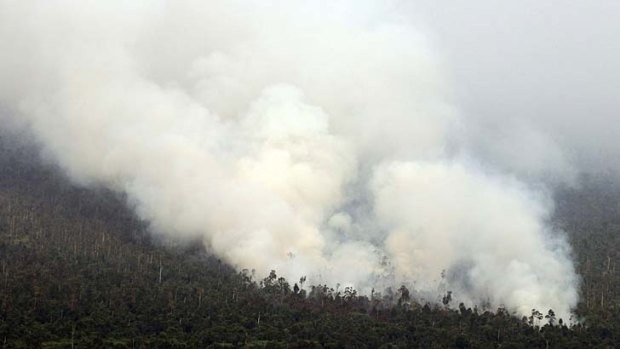 Thick smoke from raging forest fires rises on Indonesia's Sumatra island.