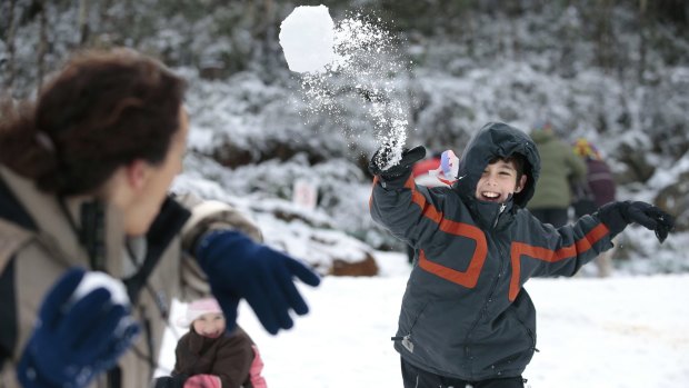 Snow at Corin Forest near Canberra.  from left, Lisa Hills of Sydney and Josh Hill, 9, having a snowball fight.
