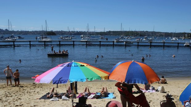  Bathers take the plunge at Murray Rose Pool, Redleaf, on Sydney Harbour. 