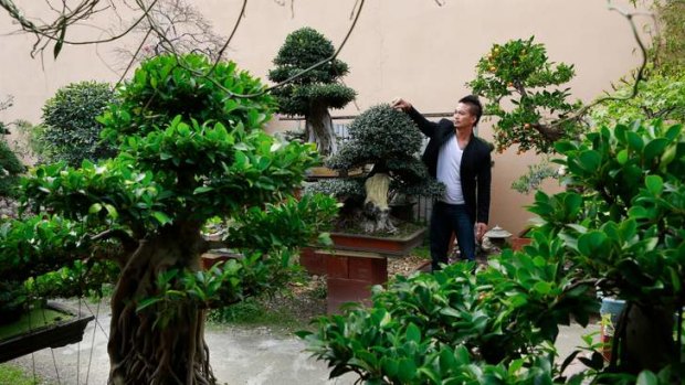 Hao Ho at his Sweet Grass Bonsai Nursery Cafe in Footscray.