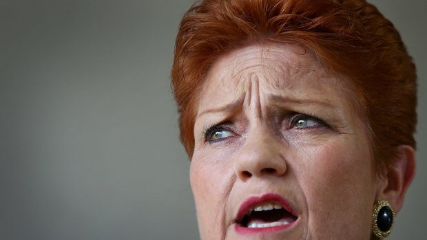 One Nation Leader Pauline Hanson.
