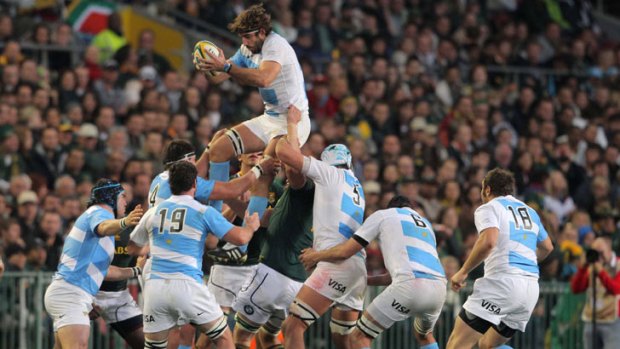 The Pumas take on South Africa in Cape Town last month.