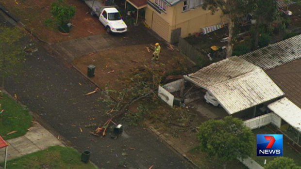 A tree reportedly "exploded" after a lightning strike in Sunnybank on Friday afternoon.