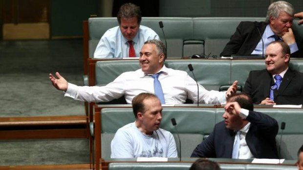 Triumphant: Treasurer Joe Hockey.