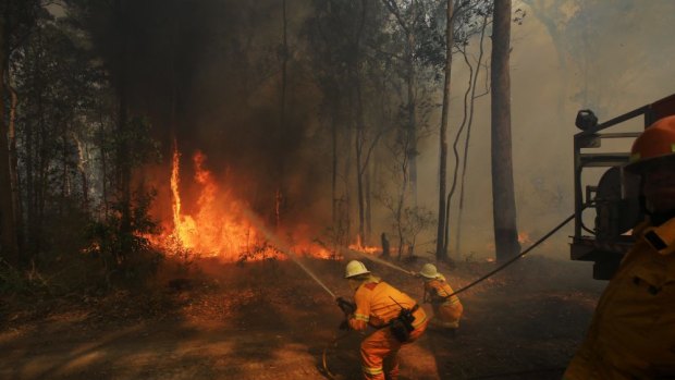 Anyone found guilty of deliberately starting a bushfire could face a fine of $250K and a hefty prison sentence. 