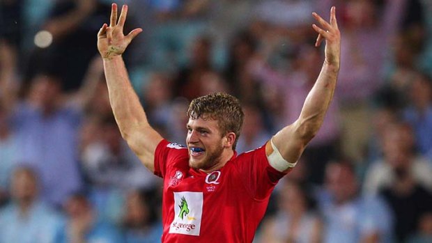 Dom Shipperley of the Reds should soon be celebrating a Wallabies call up.