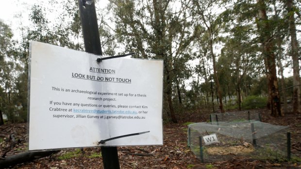 Look but don't touch: the body farm is away from walking tracks at La Trobe University's wildlife sanctuary.
