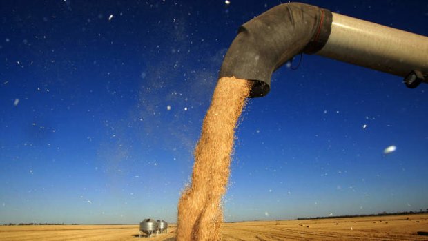 ABARES has forecast a 12 per cent fall in winter crops.
