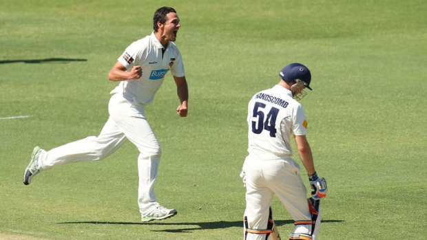 Got him: Nathan Coulter-Nile celebrates the wicket of Victoria's Peter Handscomb, who scored just seven runs before being caught by John Rogers.