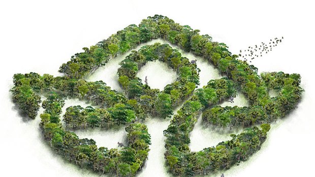 An artist's impression the pattern a Condamine group hopes to create by planting 85,000 trees.