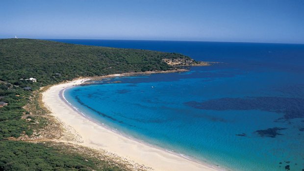 The idyllic Bunker Bay was the scene of terror yesterday after a 21-year-old man was mauled by a shark.