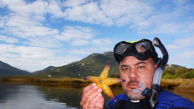 Matt Hoskins from Parks Victoria holds up a northern Pacific seastar in Tidal River at Wilsons Promontory.