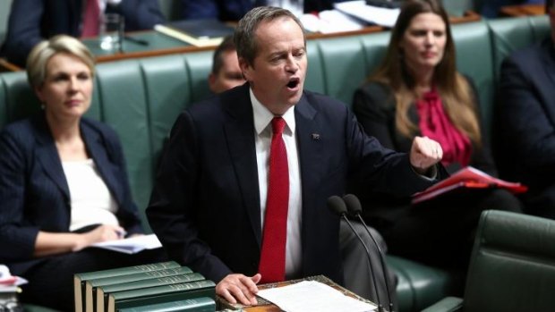 Opposition Leader Bill Shorten has dubbed the proposed fund, the "Palmer piggy bank".