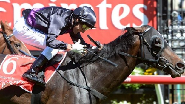 First past the post: Fiorente in the 2013 Melbourne Cup.